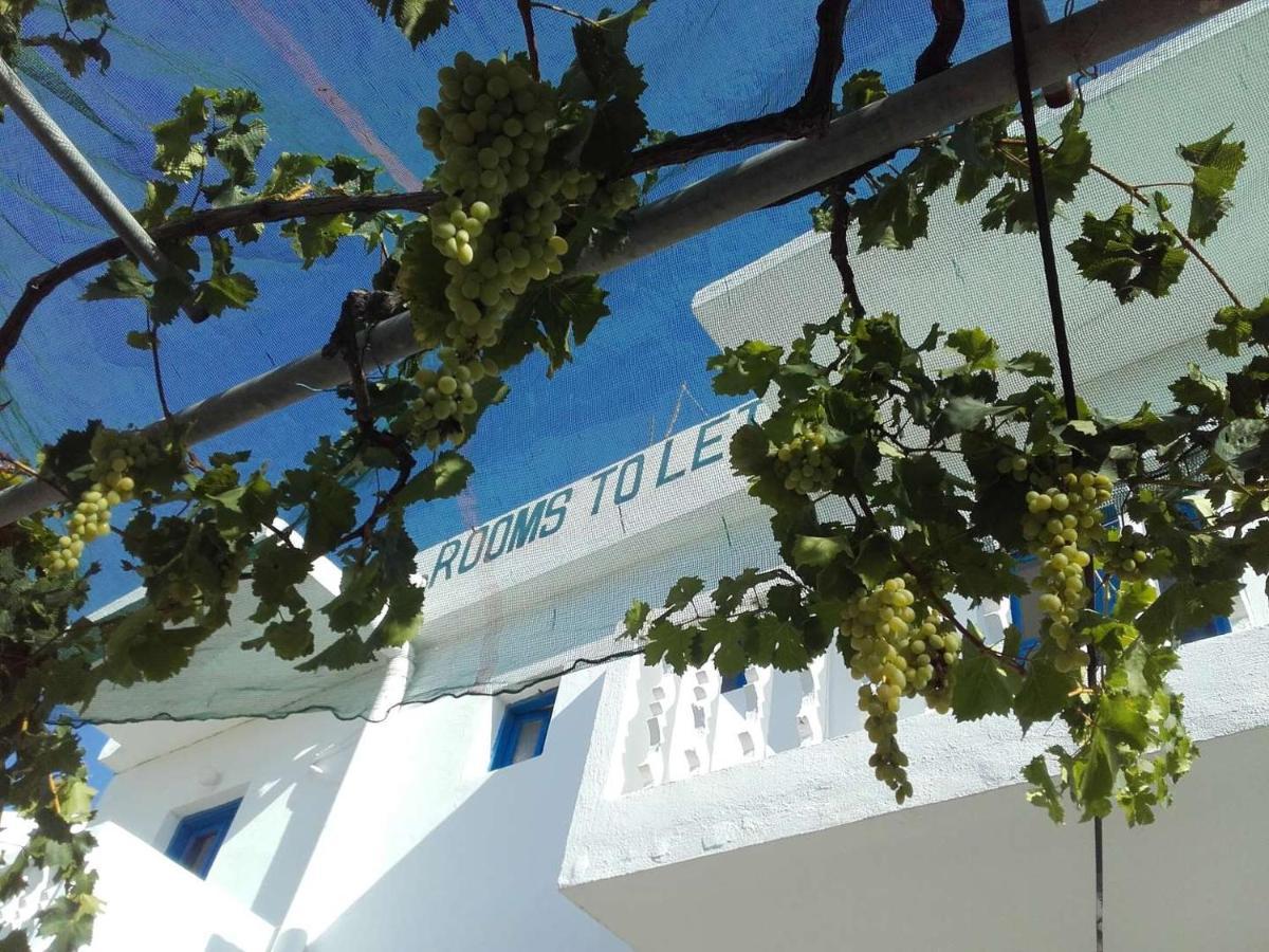 Nikos Apartments Lefkos  エクステリア 写真