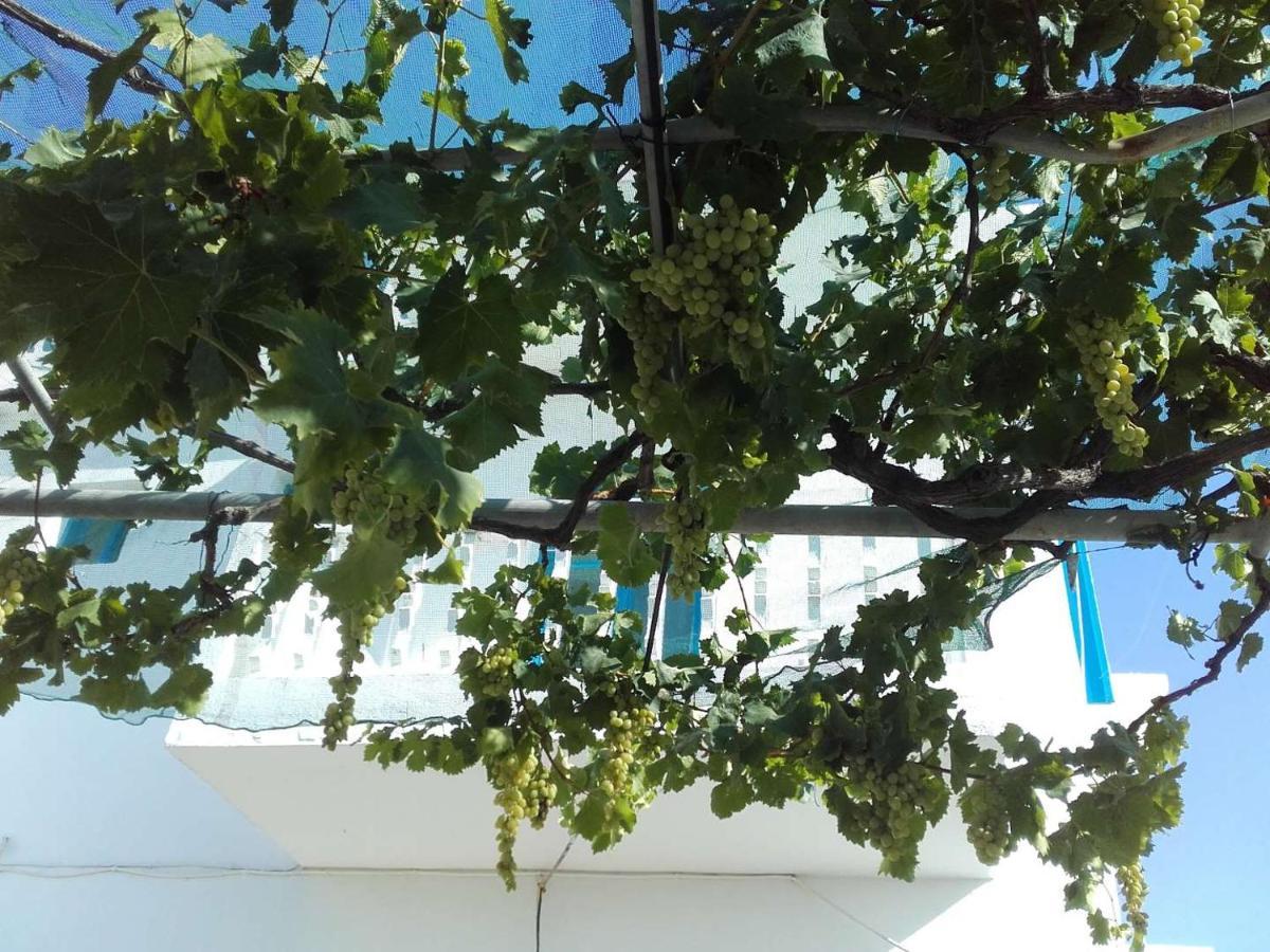 Nikos Apartments Lefkos  エクステリア 写真
